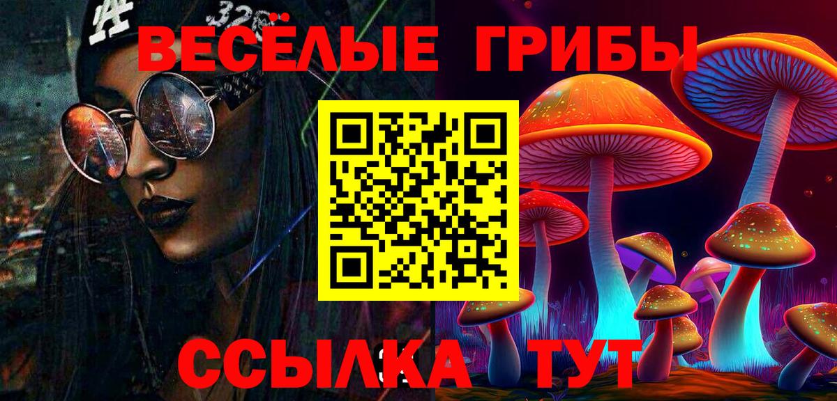 Галлюциногенные грибы MAGIC MUSHROOMS Нерюнгри