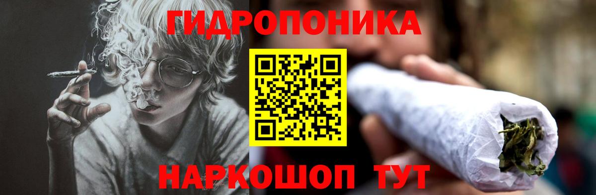 Бошки марихуана гибрид  Вход с VPN  Бошки Шишки Bruce Banner  Нерюнгри  Бошки марихуана марихуана 